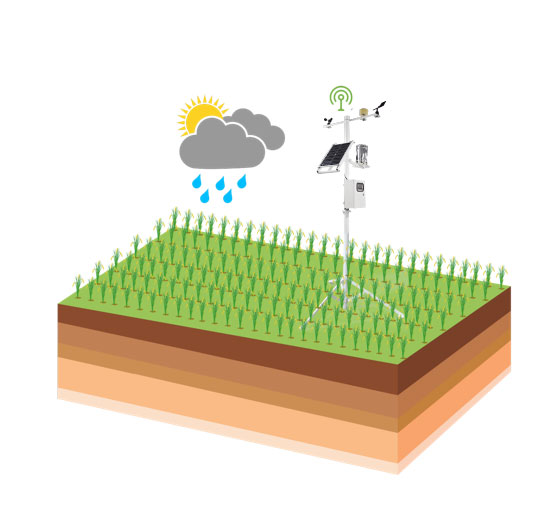農業四情監測預警系統 農業四情監測預警系統