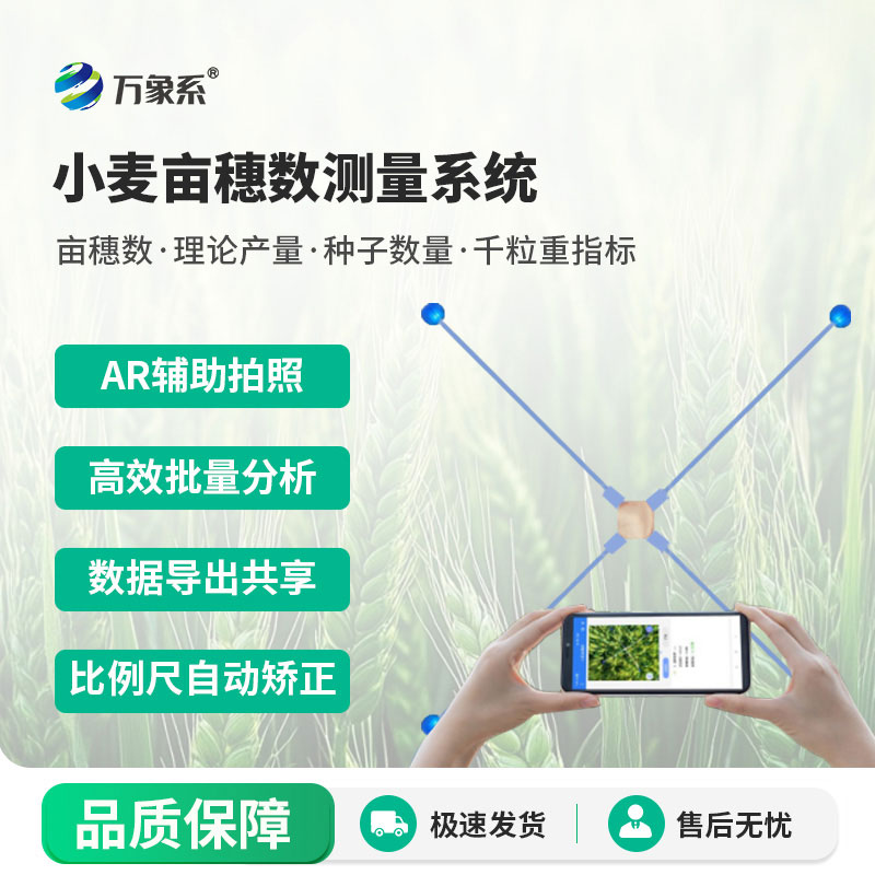 小麥畝穗數測量系統